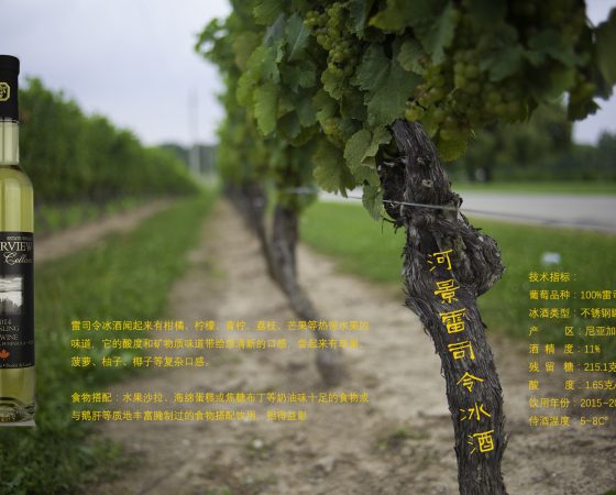 河景雷司令冰酒